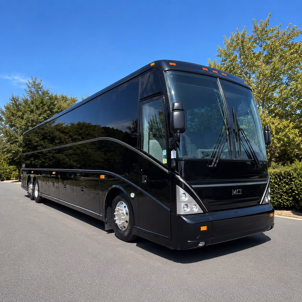 charter buses for large group birthday celebrations in rochester