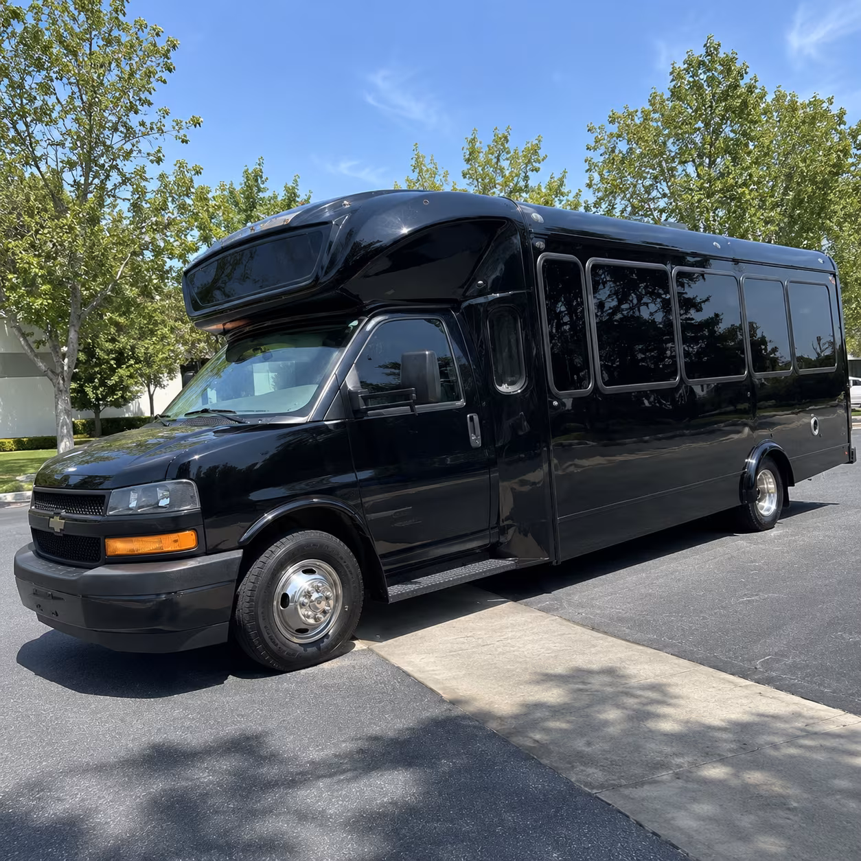 rochester 15 passenger party bus
