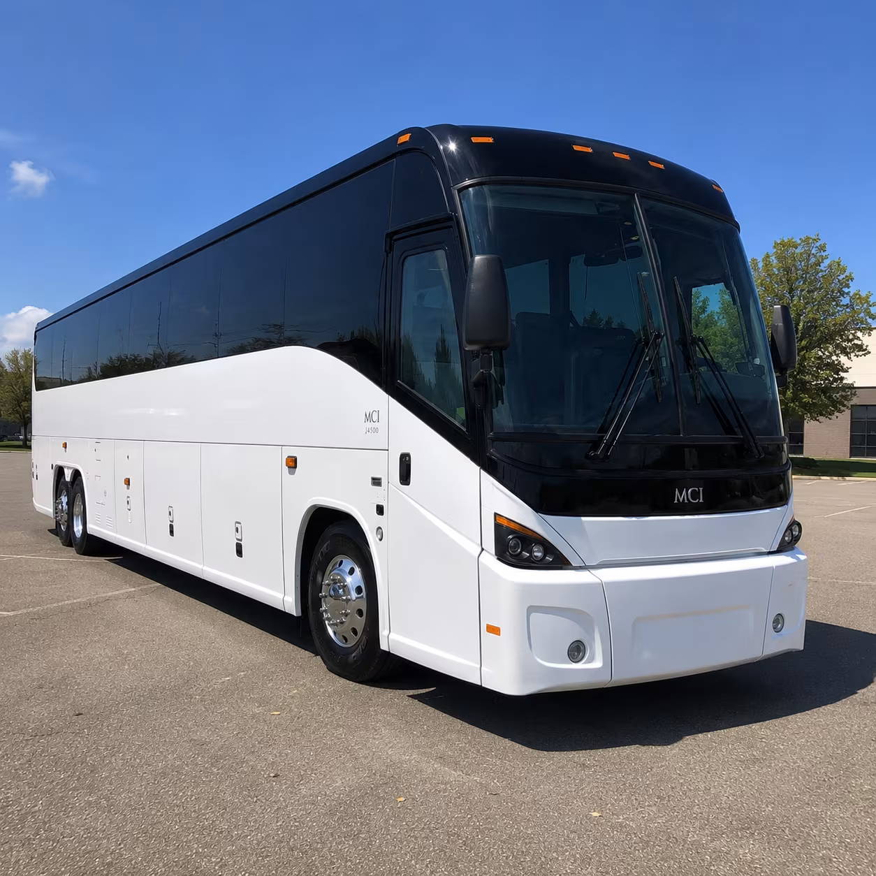 rochester 45 passenger charter bus