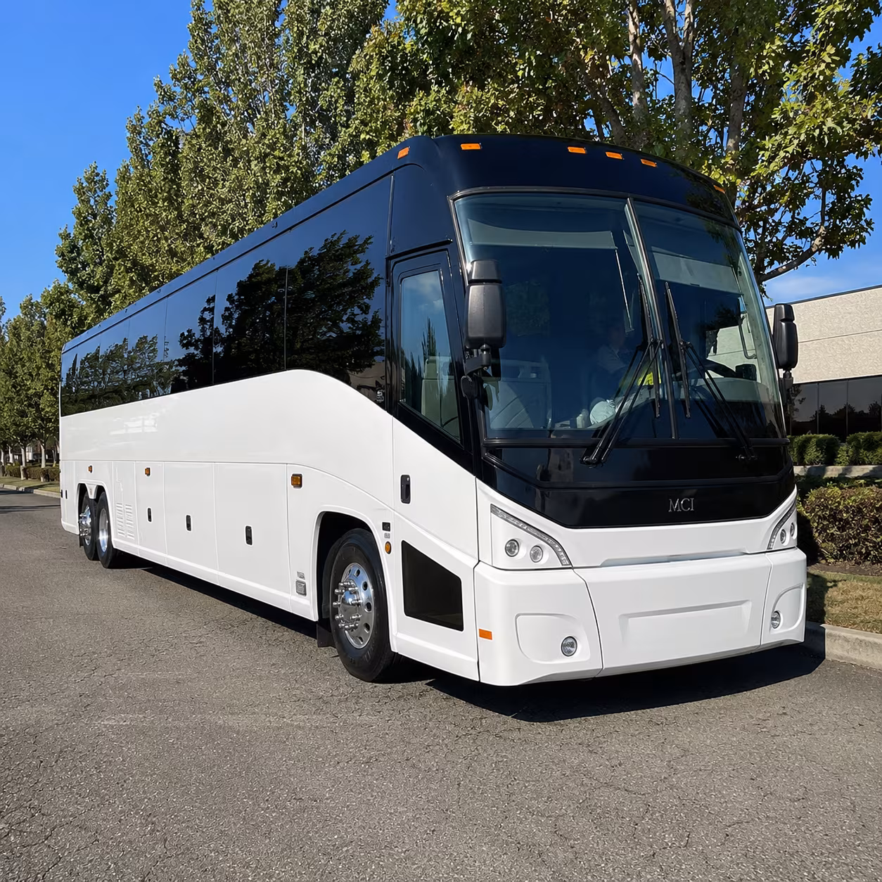 rochester 50 passenger charter bus