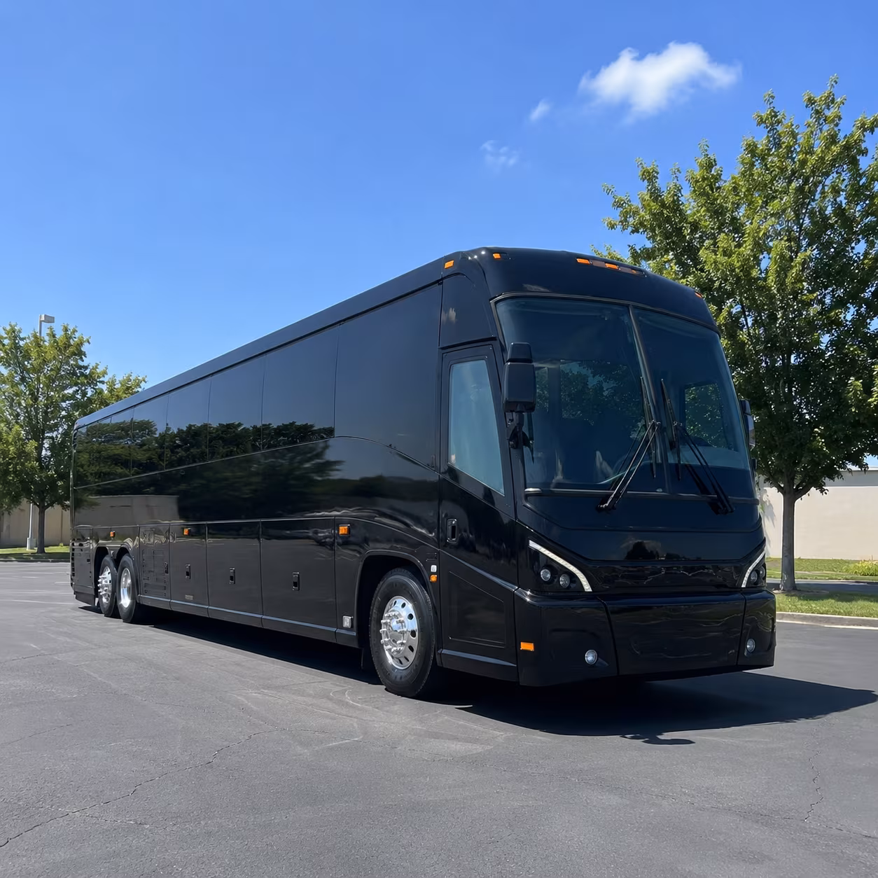 rochester 56 passenger charter bus