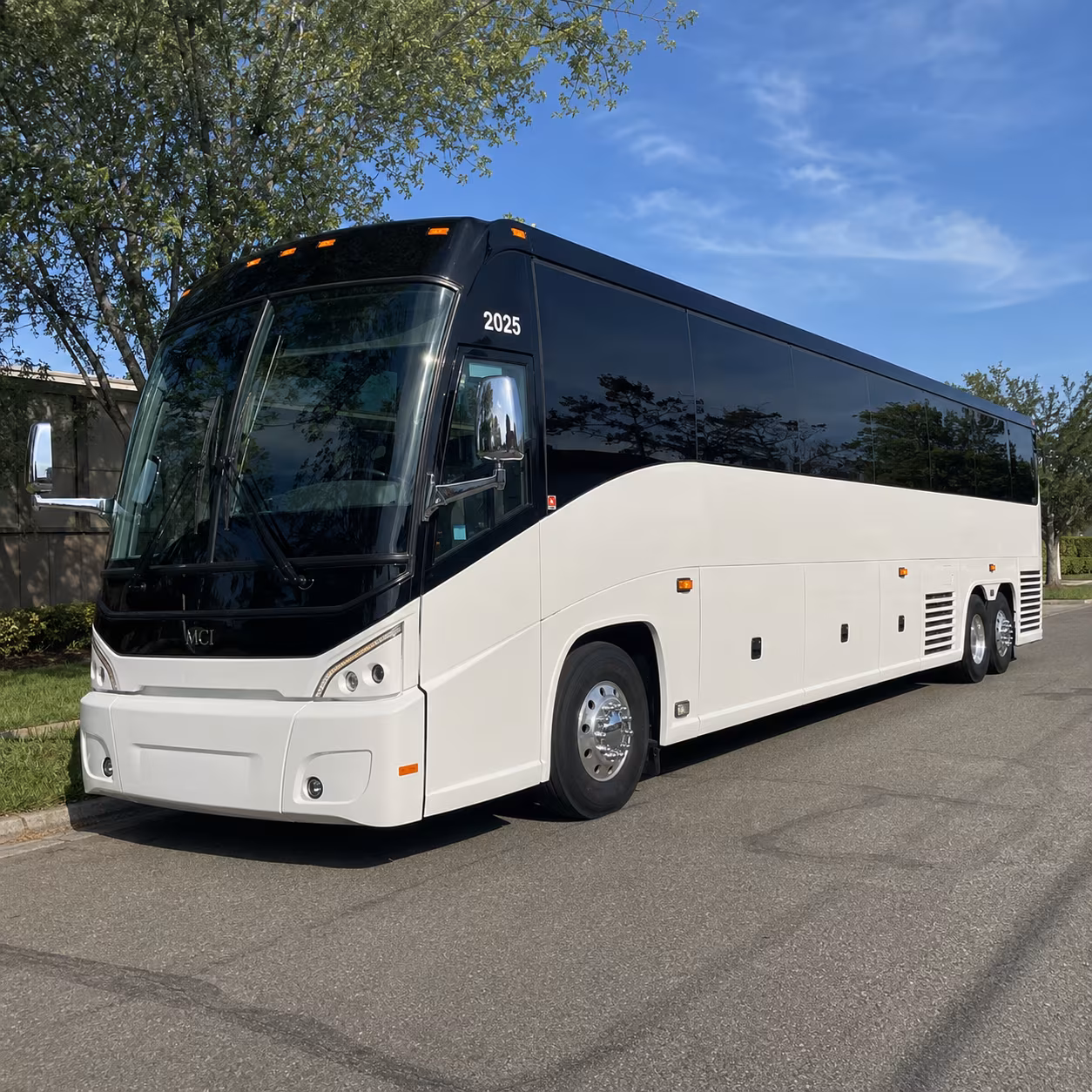 rochester birthday party transportation onboard seating