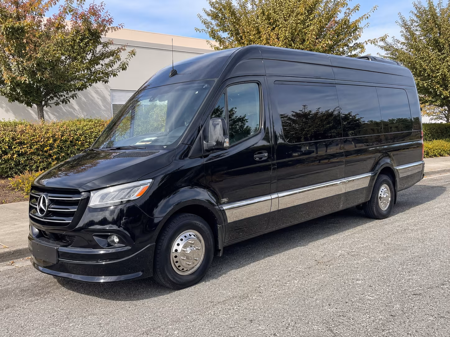 rochester sprinter van with driver